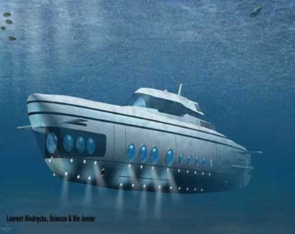 Tàu “Phoenix 1000” được mệnh danh vua của các tàu ngầm cao cấp. Nó giá 80 triệu USD, có chiều cao bằng toà nhà 4 tầng, dài 65 mét. Phoenix 1000 có thể lặn xuống độ sâu 1000 feet, đi xuyên qua đại dương tới bất kỳ nơi nào kể cả khi biển động. Để sản xuất ra một chiếc tàu ngầm này phải mất 3 năm rưỡi.